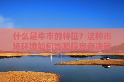 什么是牛市的特征？这种市场环境如何影响投资者决策？