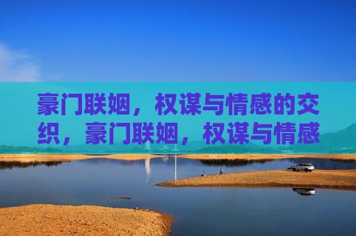 豪门联姻，权谋与情感的交织，豪门联姻，权谋与情感的碰撞，豪门联姻，权谋与情感的较量