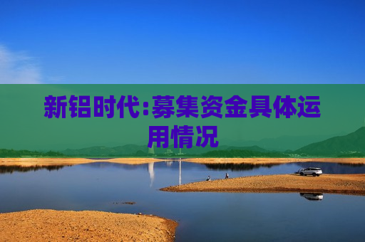 新铝时代:募集资金具体运用情况