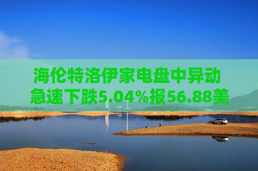 海伦特洛伊家电盘中异动 急速下跌5.04%报56.88美元