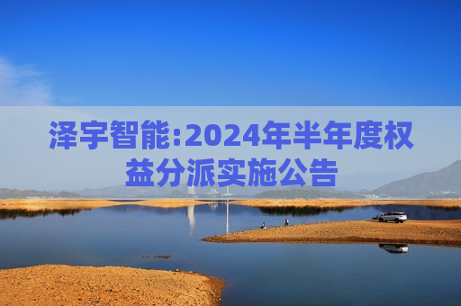 泽宇智能:2024年半年度权益分派实施公告
