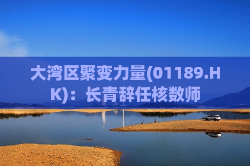 大湾区聚变力量(01189.HK)：长青辞任核数师