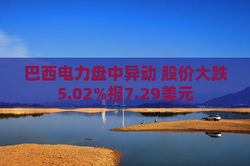 巴西电力盘中异动 股价大跌5.02%报7.29美元