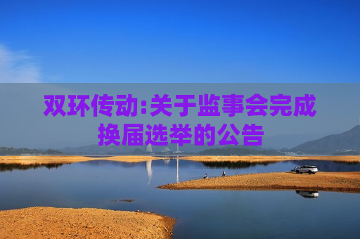 双环传动:关于监事会完成换届选举的公告