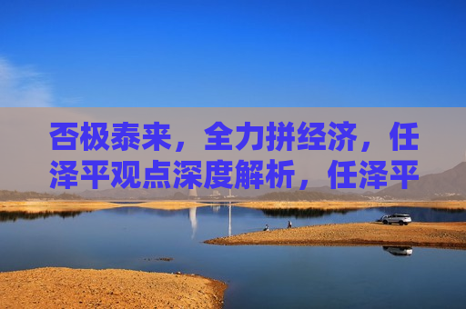 否极泰来，全力拼经济，任泽平观点深度解析，任泽平，否极泰来，全力拼经济——观点深度解读，任泽平，否极泰来，全力拼经济的深度解读