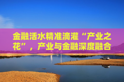 金融活水精准滴灌“产业之花”，产业与金融深度融合的奥秘与实践，金融活水滋养产业之花，产业与金融深度融合的实践探索，金融活水滋养产业之花，产业与金融深度融合的实践探索