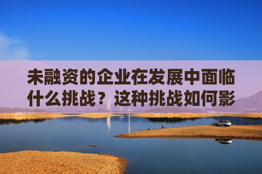 未融资的企业在发展中面临什么挑战？这种挑战如何影响企业的成长？
