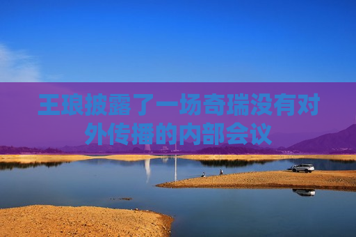 王琅披露了一场奇瑞没有对外传播的内部会议  第1张