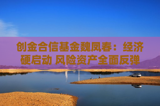 创金合信基金魏凤春：经济硬启动 风险资产全面反弹