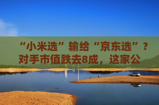 “小米选”输给“京东选”？对手市值跌去8成，这家公司却赶着上市！