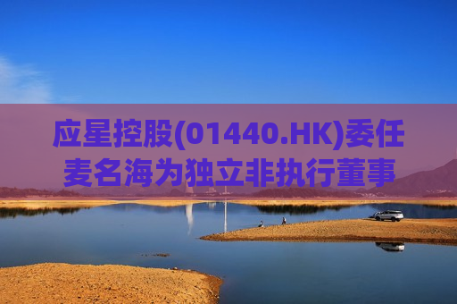 应星控股(01440.HK)委任麦名海为独立非执行董事  第1张
