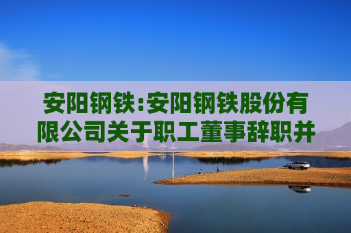 安阳钢铁:安阳钢铁股份有限公司关于职工董事辞职并更换职工董事的公告
