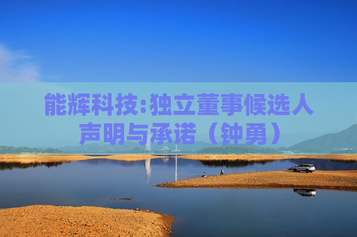 能辉科技:独立董事候选人声明与承诺（钟勇）