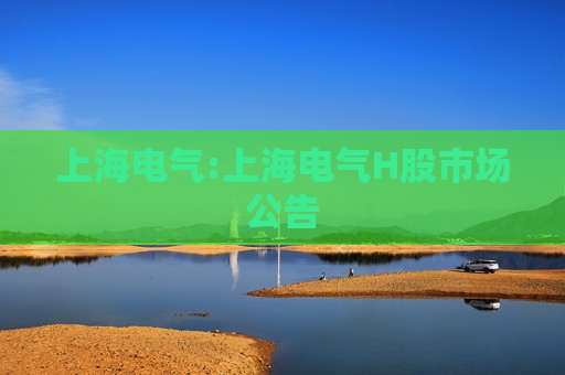 上海电气:上海电气H股市场公告