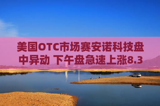 美国OTC市场赛安诺科技盘中异动 下午盘急速上涨8.37%报0.760美元