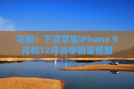 花旗：下调苹果iPhone 9月和12月当季销量预期