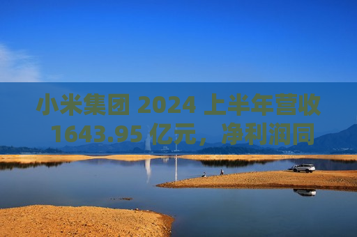 小米集团 2024 上半年营收 1643.95 亿元，净利润同比增长 17.86%