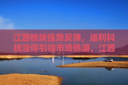 江西板块强势反弹，返利科技涨停引领市场热潮，江西板块强势反弹，返利科技涨停成市场领头羊，江西板块强势反弹，返利科技涨停引领市场风潮