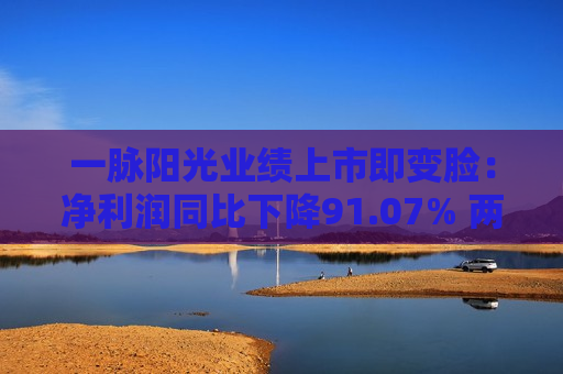 一脉阳光业绩上市即变脸：净利润同比下降91.07% 两主营业务均显增长疲态