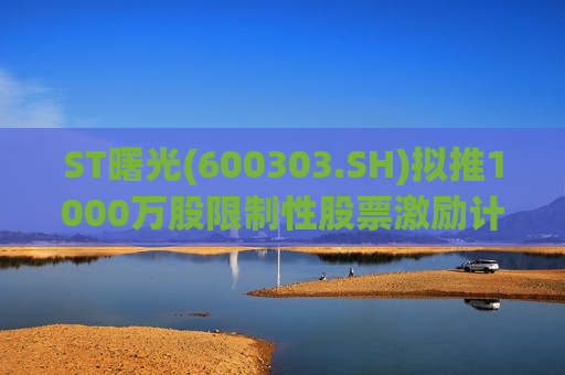 ST曙光(600303.SH)拟推1000万股限制性股票激励计划 授予价1.22元/股