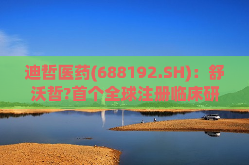 迪哲医药(688192.SH)：舒沃哲?首个全球注册临床研究达到主要研究终点