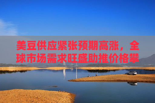 美豆供应紧张预期高涨，全球市场需求旺盛助推价格攀升，全球市场需求旺盛推动美豆价格攀升，全球市场需求旺盛推动美豆价格攀升