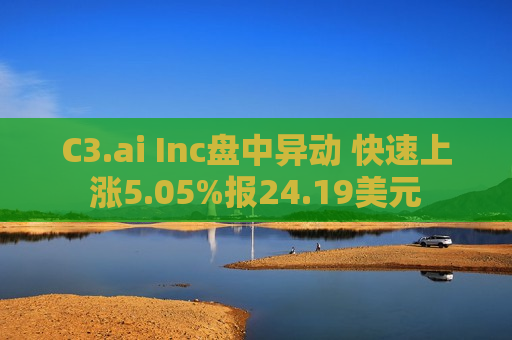 C3.ai Inc盘中异动 快速上涨5.05%报24.19美元