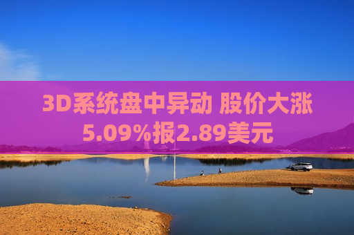 3D系统盘中异动 股价大涨5.09%报2.89美元