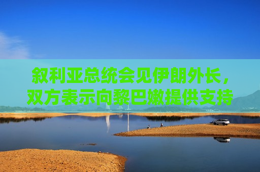 叙利亚总统会见伊朗外长，双方表示向黎巴嫩提供支持和援助  第1张