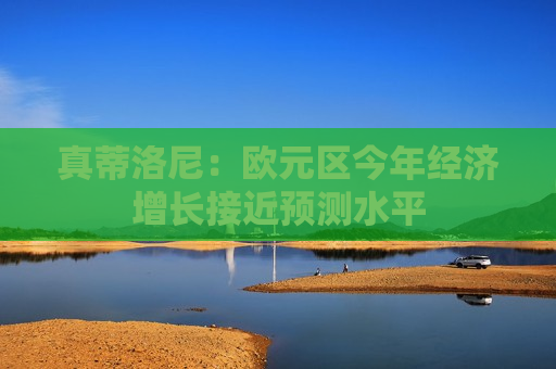真蒂洛尼：欧元区今年经济增长接近预测水平