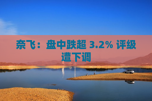 奈飞：盘中跌超 3.2% 评级遭下调