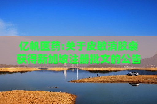 亿帆医药:关于皮敏消胶囊获得新加坡注册批文的公告  第1张