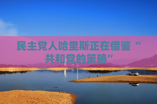 民主党人哈里斯正在借鉴“共和党的策略”