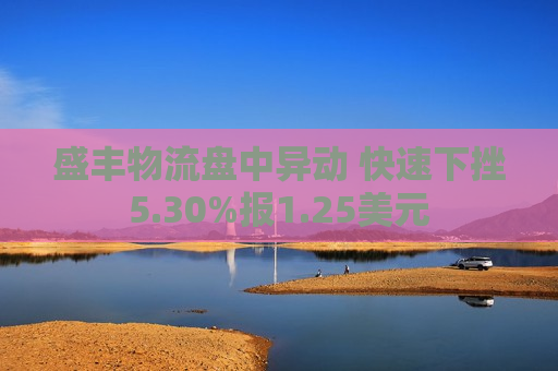 盛丰物流盘中异动 快速下挫5.30%报1.25美元