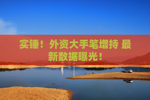 实锤！外资大手笔增持 最新数据曝光！