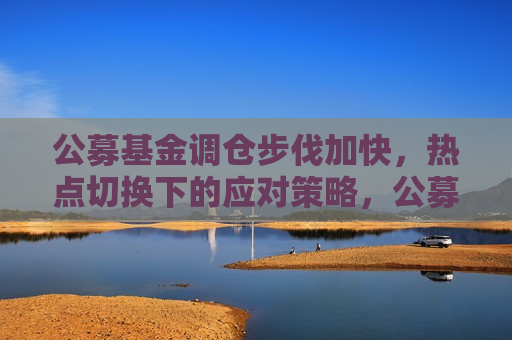 公募基金调仓步伐加快，热点切换下的应对策略，公募基金加速调仓，热点切换下的智慧应对，公募基金加速调仓应对热点切换，智慧策略揭秘