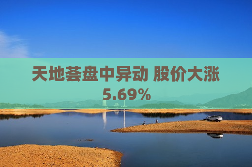 天地荟盘中异动 股价大涨5.69%