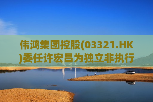 伟鸿集团控股(03321.HK)委任许宏昌为独立非执行董事