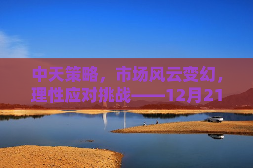 中天策略，市场风云变幻，理性应对挑战——12月21日市场分析，中天策略，理性应对市场挑战——12月21日市场分析，中天策略，理性应对市场挑战，市场分析展望