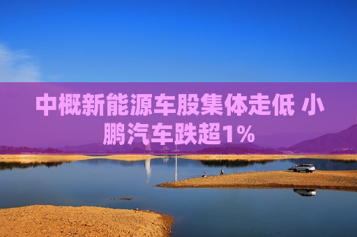 中概新能源车股集体走低 小鹏汽车跌超1%