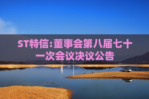 ST特信:董事会第八届七十一次会议决议公告