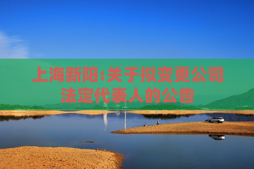 上海新阳:关于拟变更公司法定代表人的公告