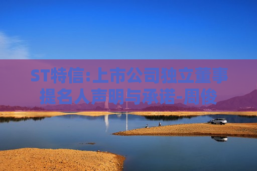 ST特信:上市公司独立董事提名人声明与承诺-周俊