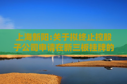 上海新阳:关于拟终止控股子公司申请在新三板挂牌的公告