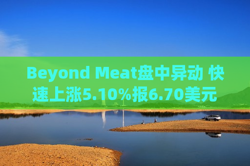 Beyond Meat盘中异动 快速上涨5.10%报6.70美元