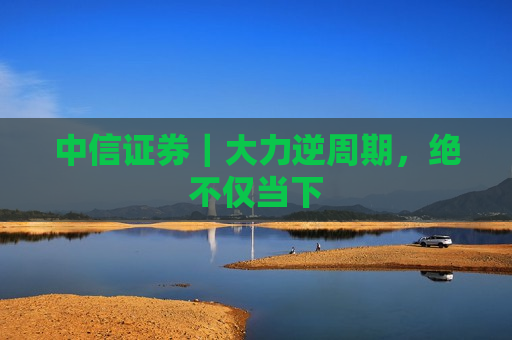 中信证券｜大力逆周期，绝不仅当下