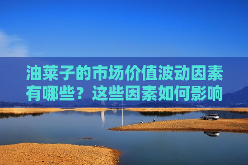 油莱子的市场价值波动因素有哪些？这些因素如何影响其期货交易？