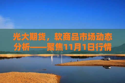 光大期货，软商品市场动态分析——聚焦11月1日行情，光大期货软商品市场动态分析，聚焦行情变化，光大期货软商品市场动态分析，聚焦行情变化