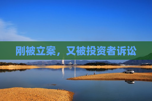 刚被立案，又被投资者诉讼