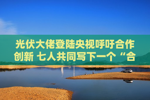 光伏大佬登陆央视呼吁合作创新 七人共同写下一个“合”字